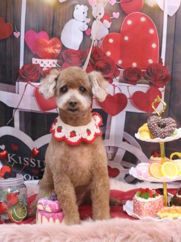 20250220メリーちゃん